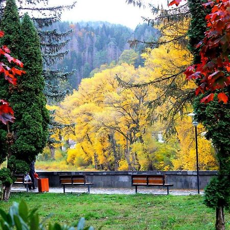 Apartament Sofia Lägenhet Borjomi Exteriör bild