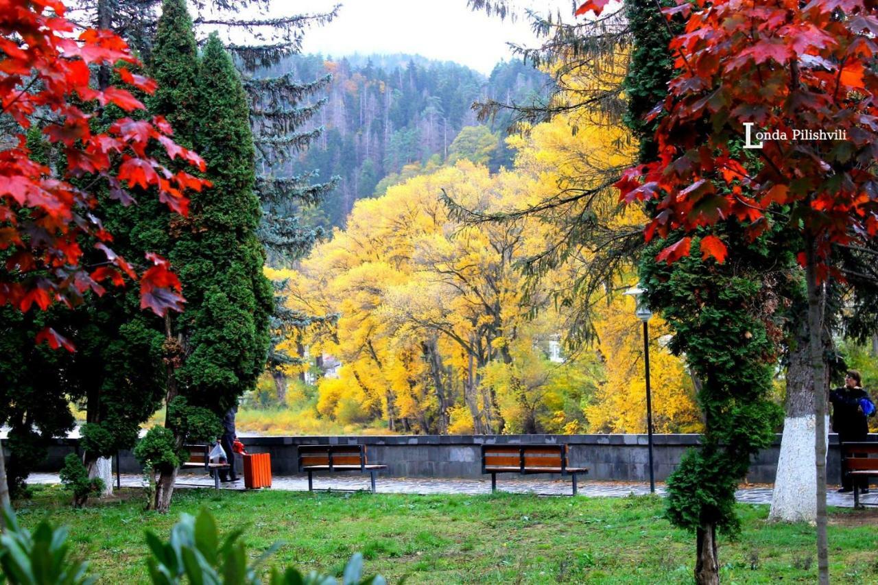 Apartament Sofia Lägenhet Borjomi Exteriör bild