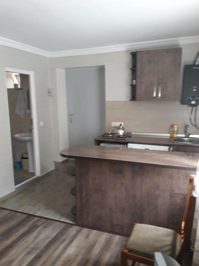 Apartament Sofia Lägenhet Borjomi Exteriör bild